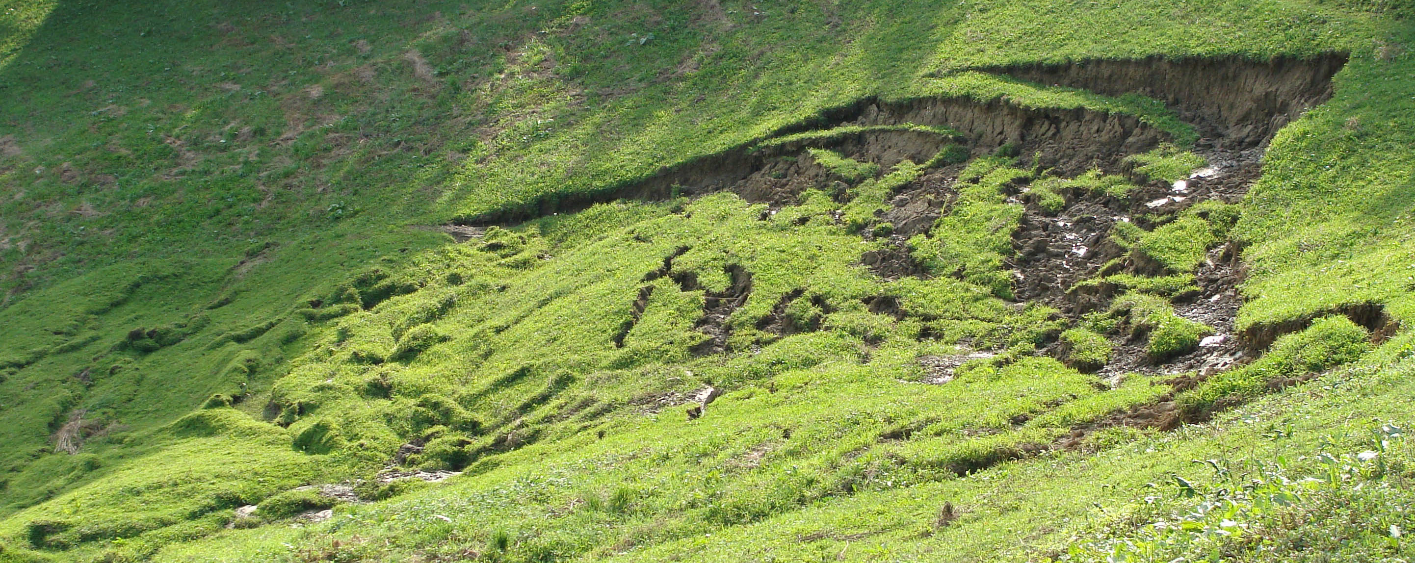 Climate change may amplify the landslide hazard in the forelands of the European Alps