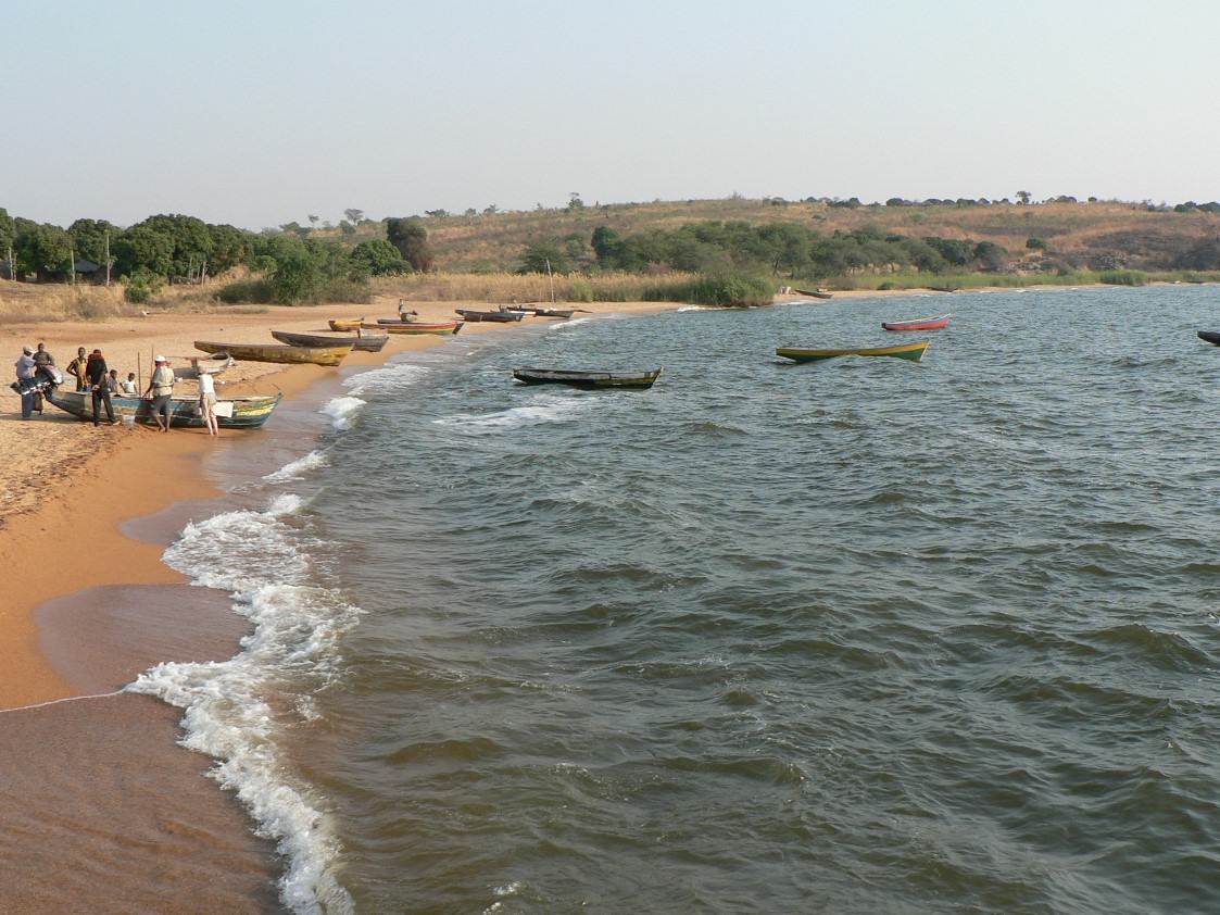 Fishing in little studied East African Lakes reveals striking differences in species richness explained by hybridization