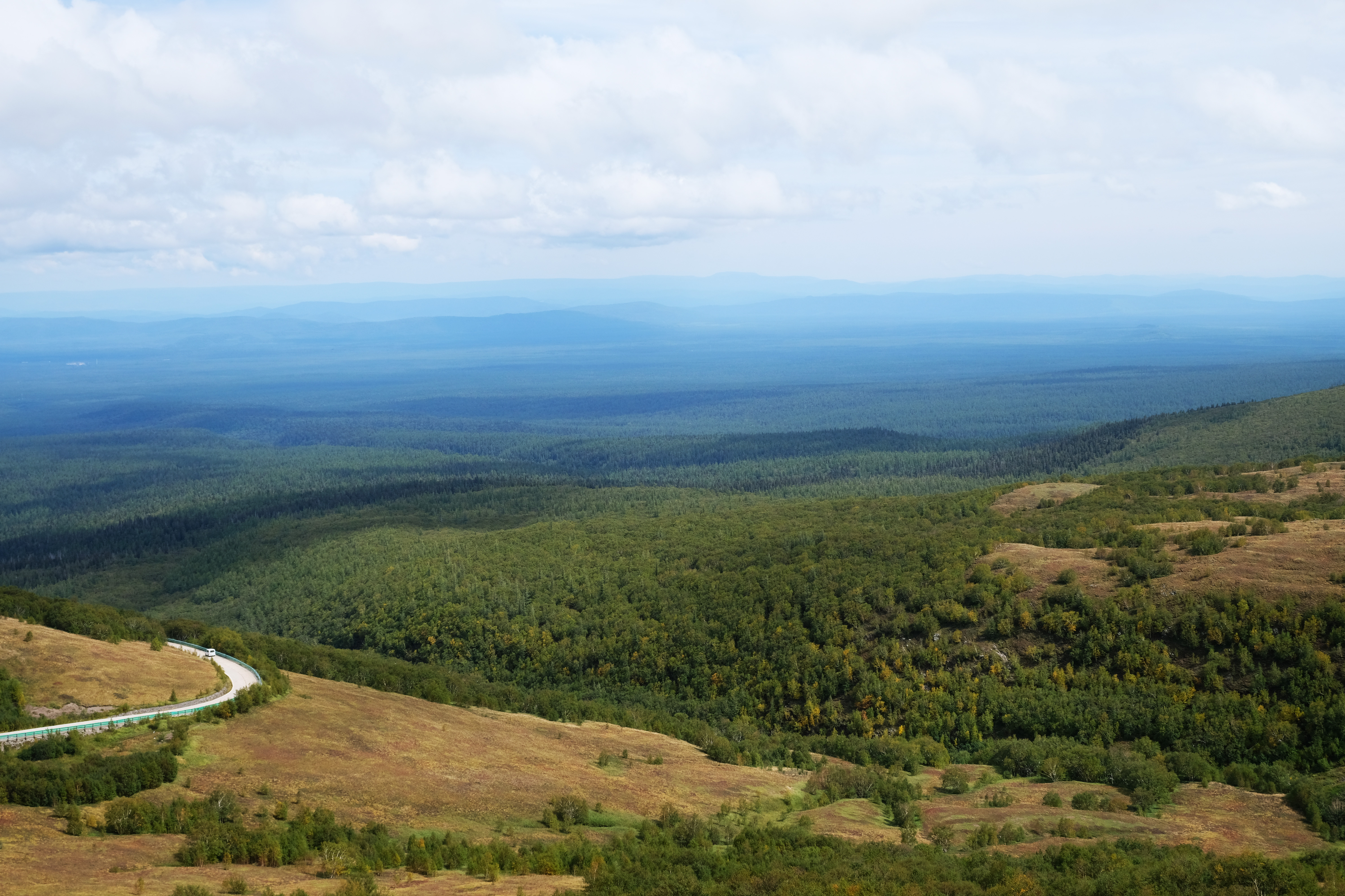 Decipher the code of ectomycorrhizal fungal distributions along the timberline: the roles of island effects and biotic interactions