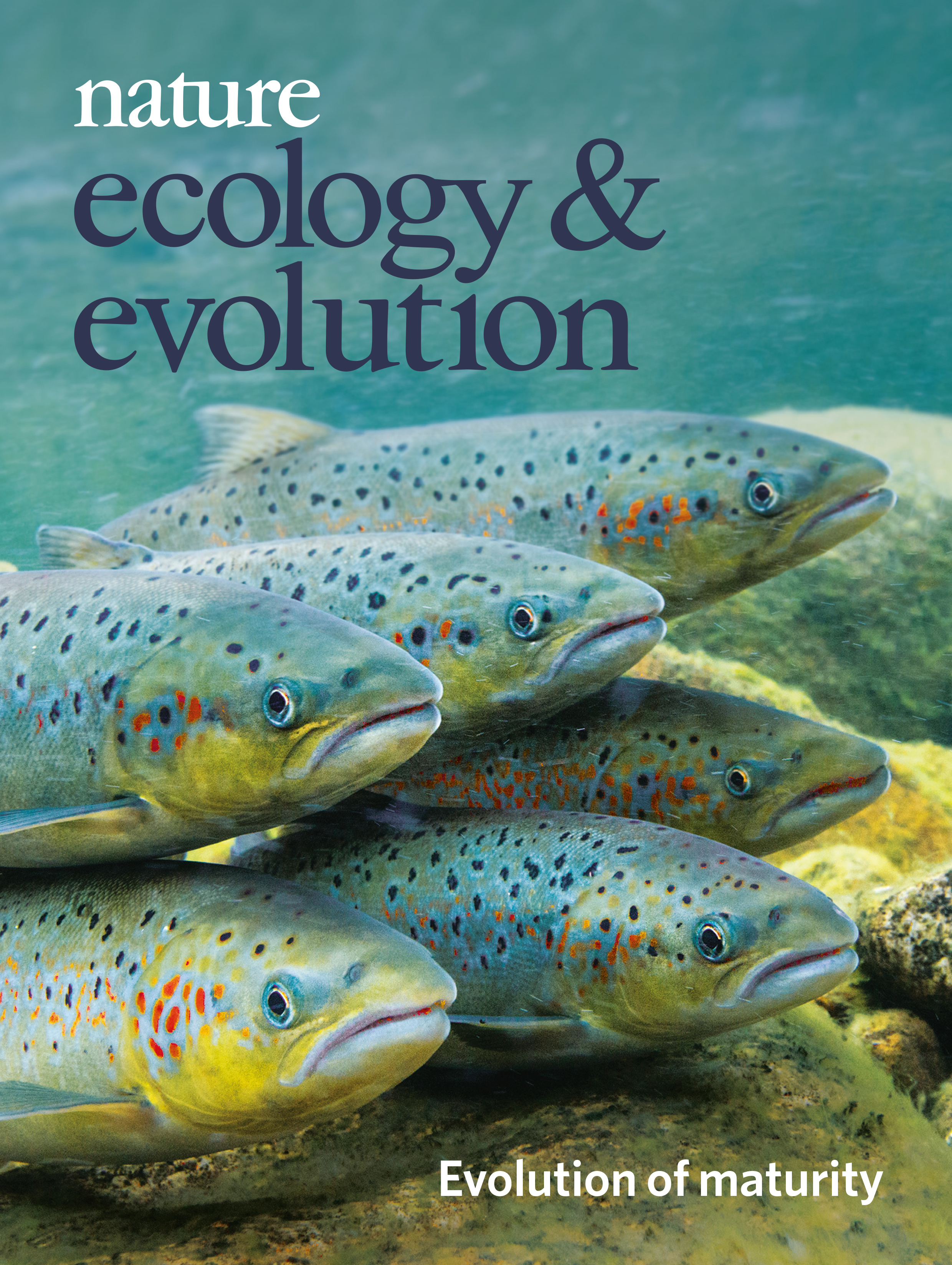 Gallery | November 2018 cover