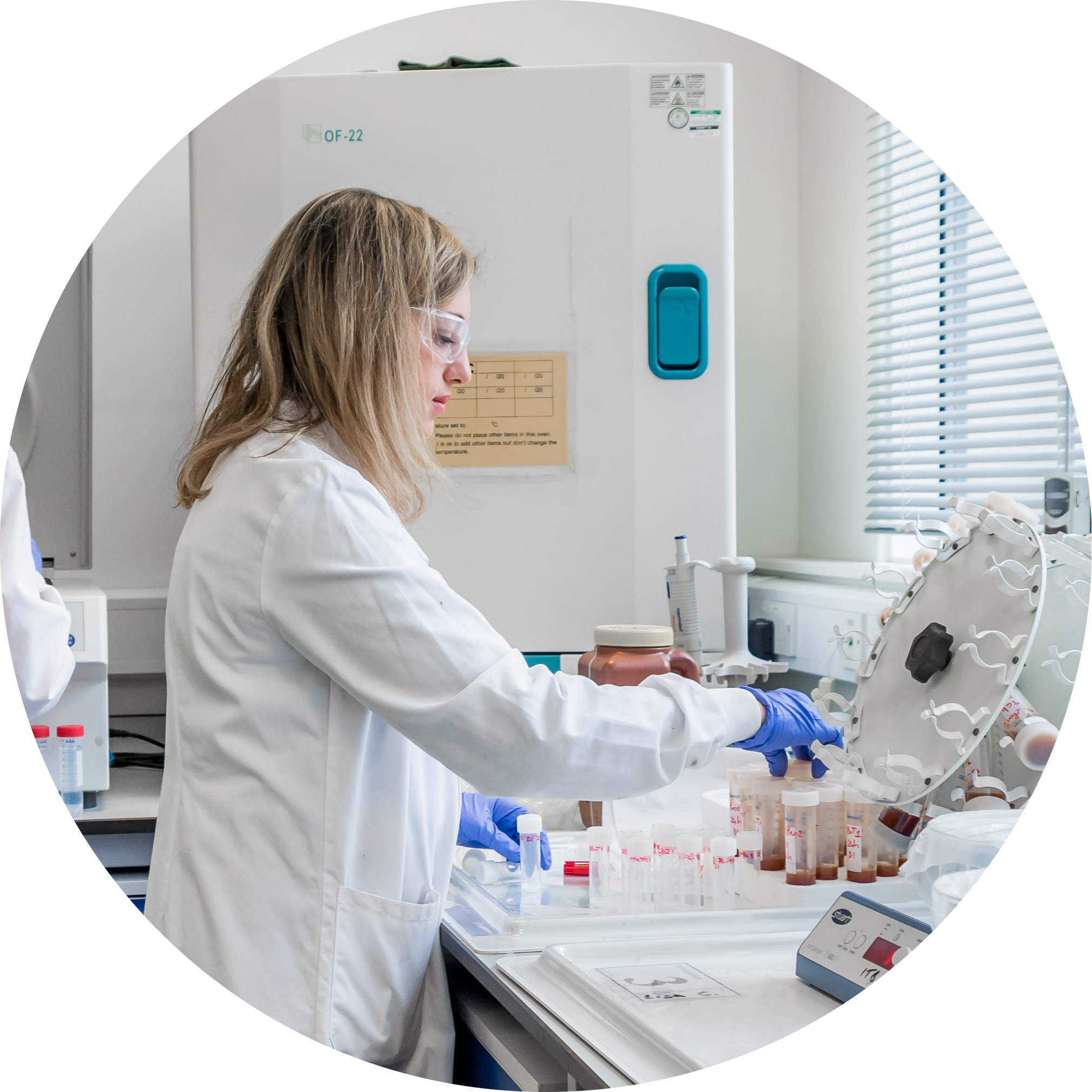 Go to the profile of Lisa Curti