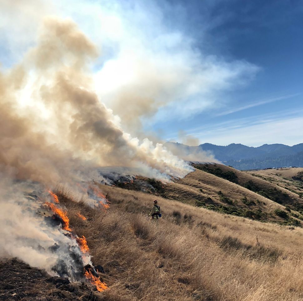 Rethinking resilience to wildfire: interdisciplinary discussions provide ideas for better living with wildfire
