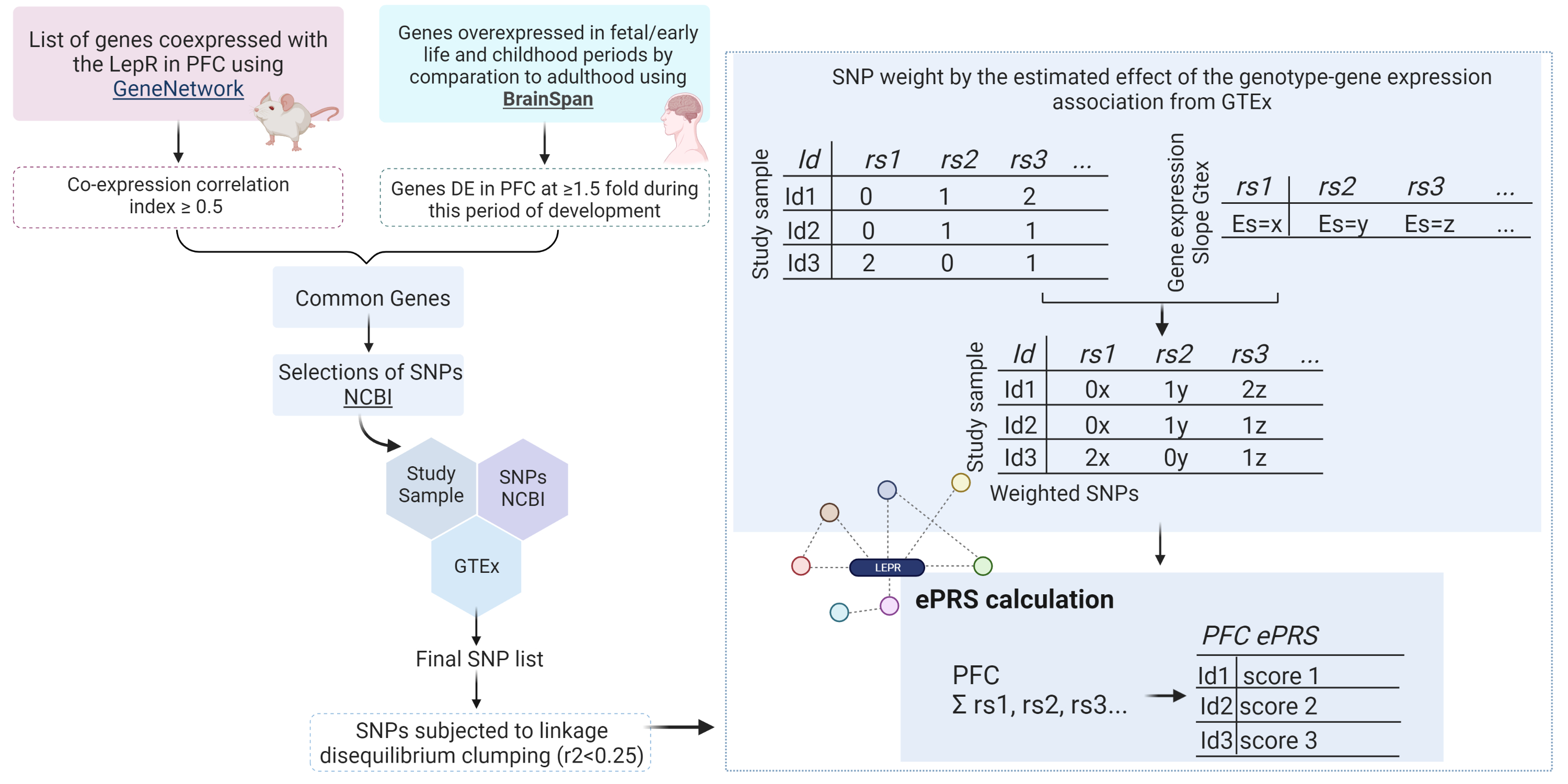 Gene Network Co-expressed with the Leptin Receptor in the Prefrontal Cortex Modulates the Effects of Early Life Adversity on Children Eating Behavior