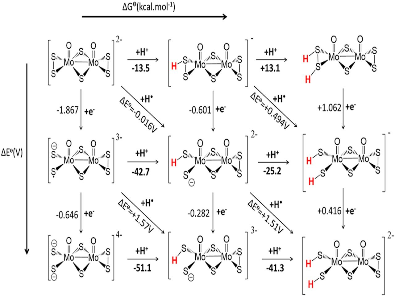Tuning and mechanistic insights of metal chalcogenide molecular catalysts for the hydrogen evolution reaction