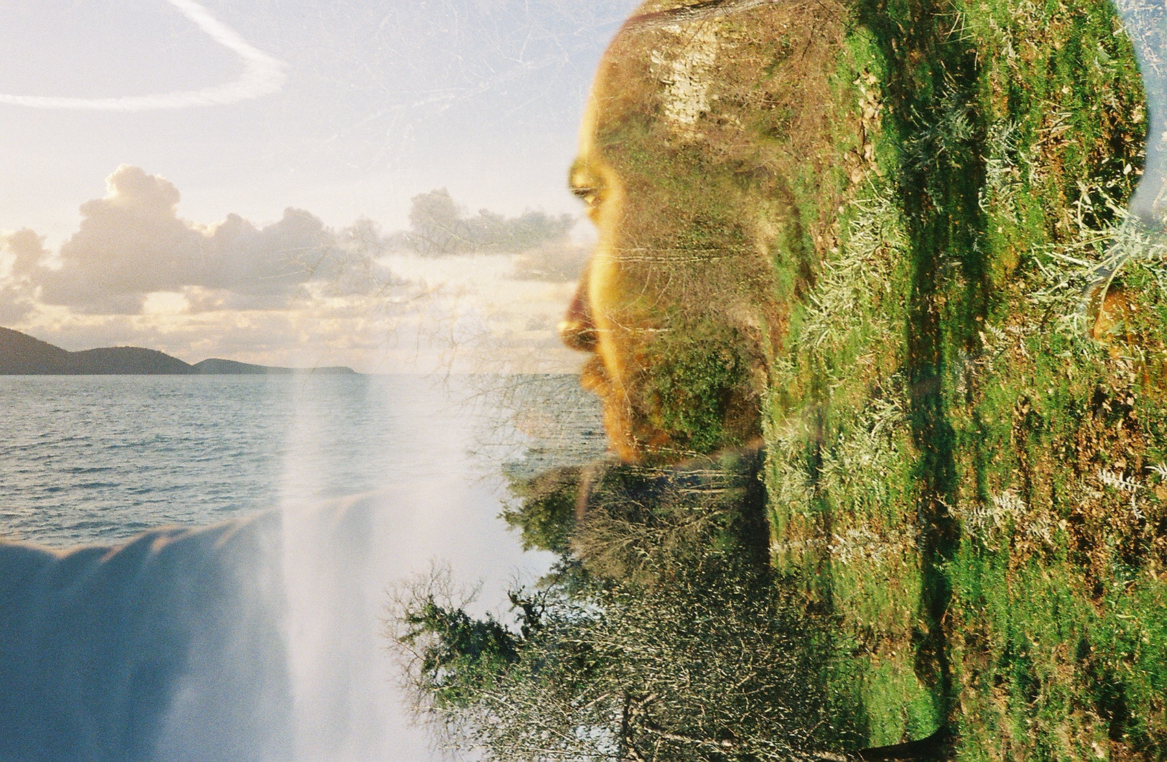 Go to the profile of Eli Lazarus