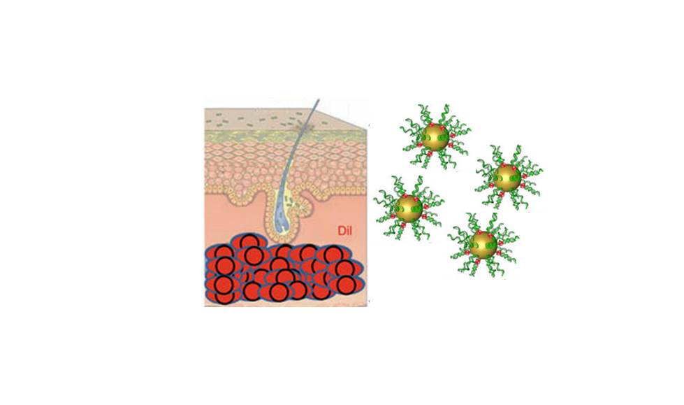 Towards biopsy-less skin diagnosis