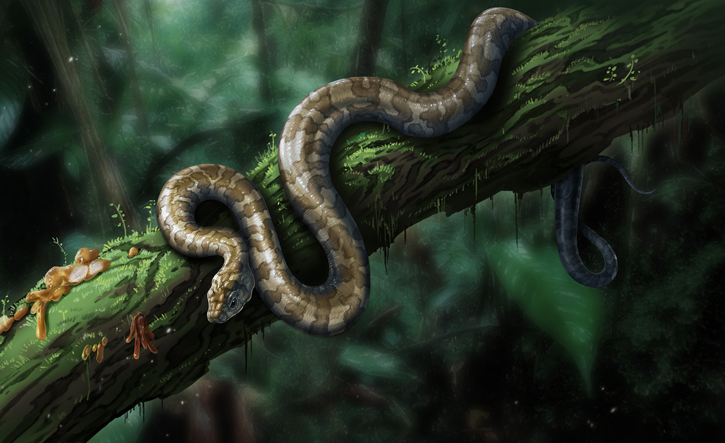 A new chapter on early snake evolution: the tale of the baby snake in amber