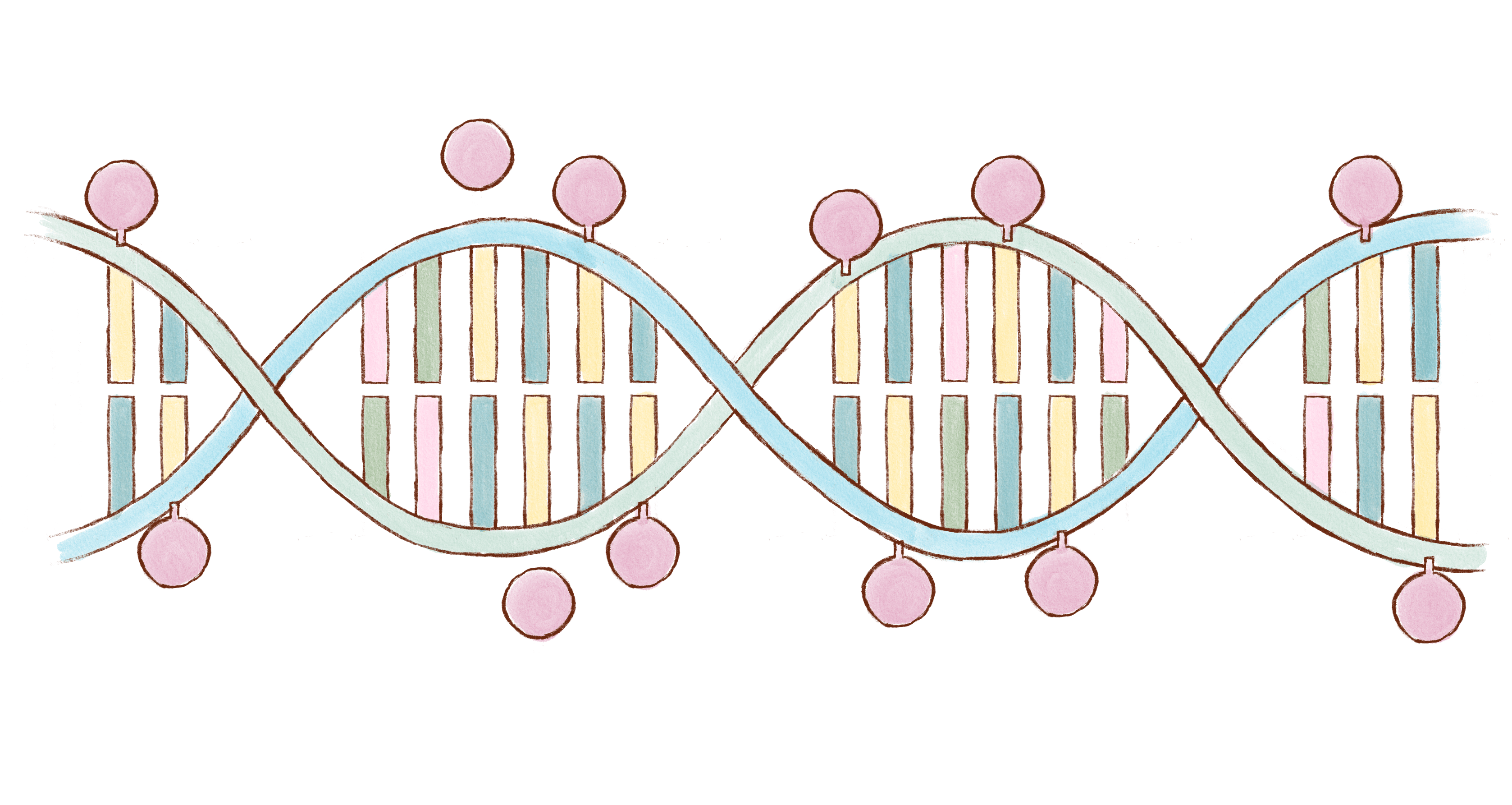 Transgenerational Epigenetics: Why is it important?