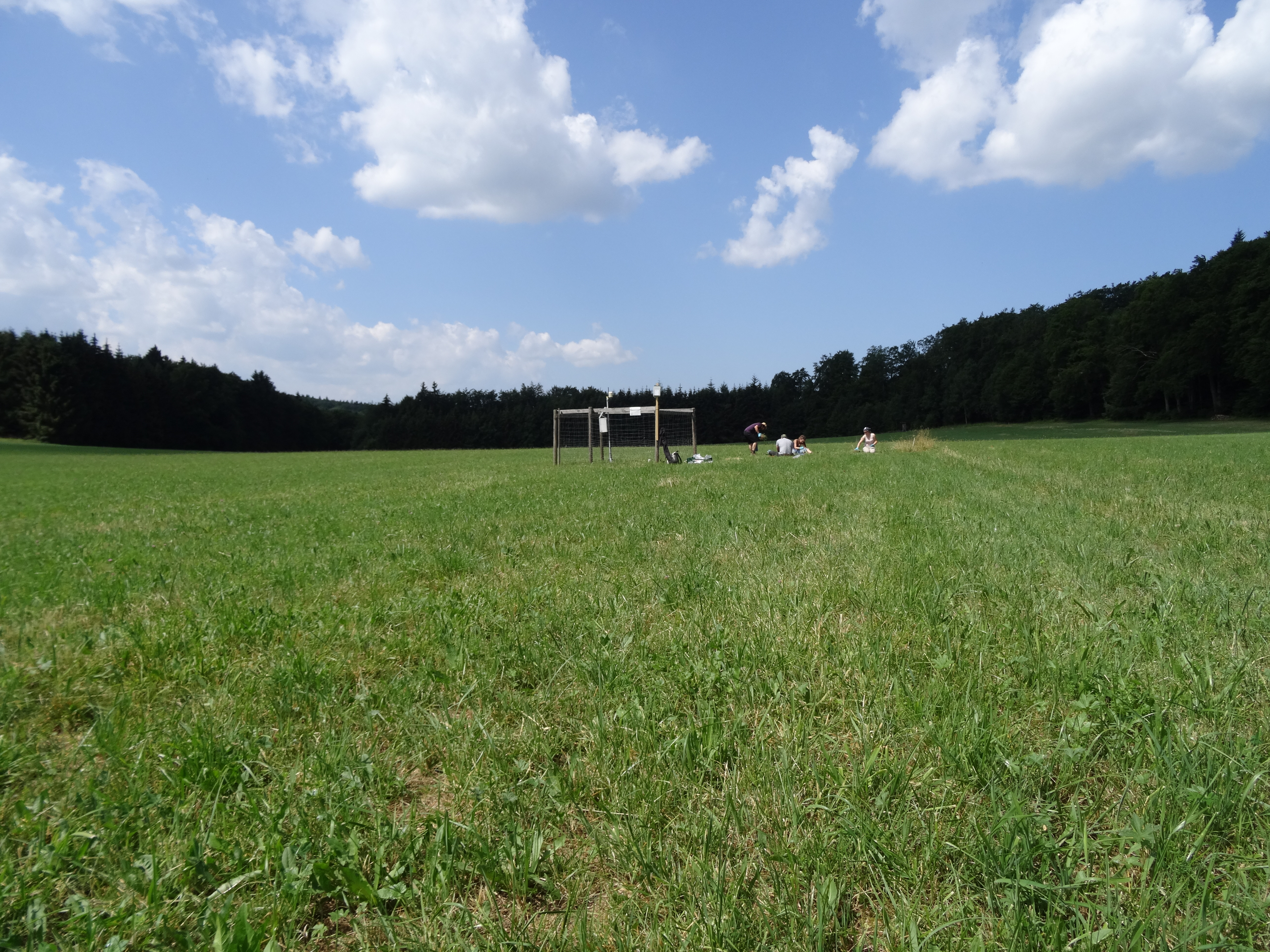 It's about the soil: different plants, one rhizobiome