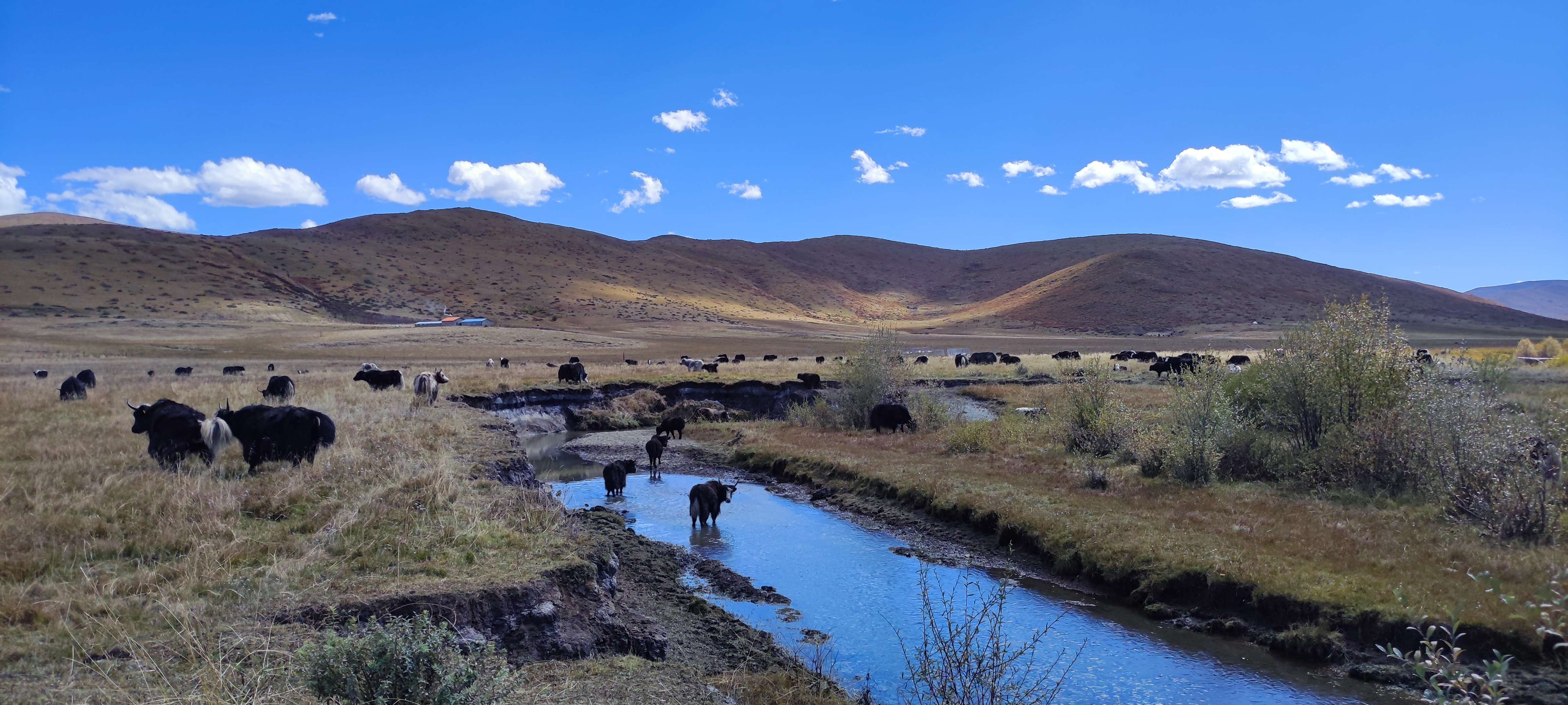 Accounting for released methane in ditches is crucial for accurate emission assessments from global peatlands drainage
