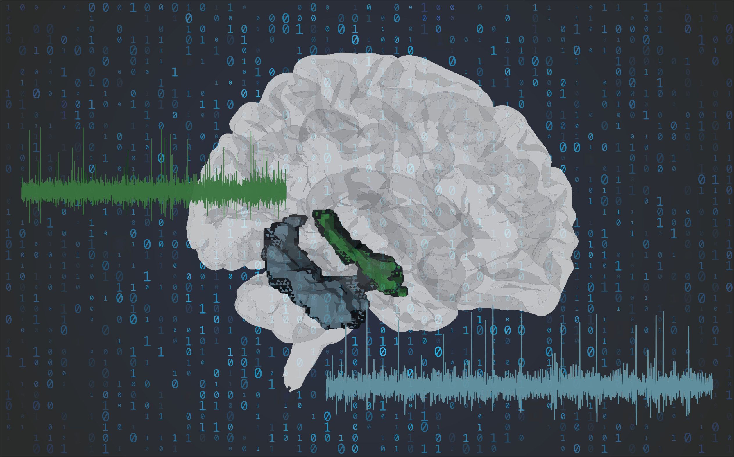 Challenges in Utilizing the Neurodata Without Borders (NWB) Format for Human Single Unit Data