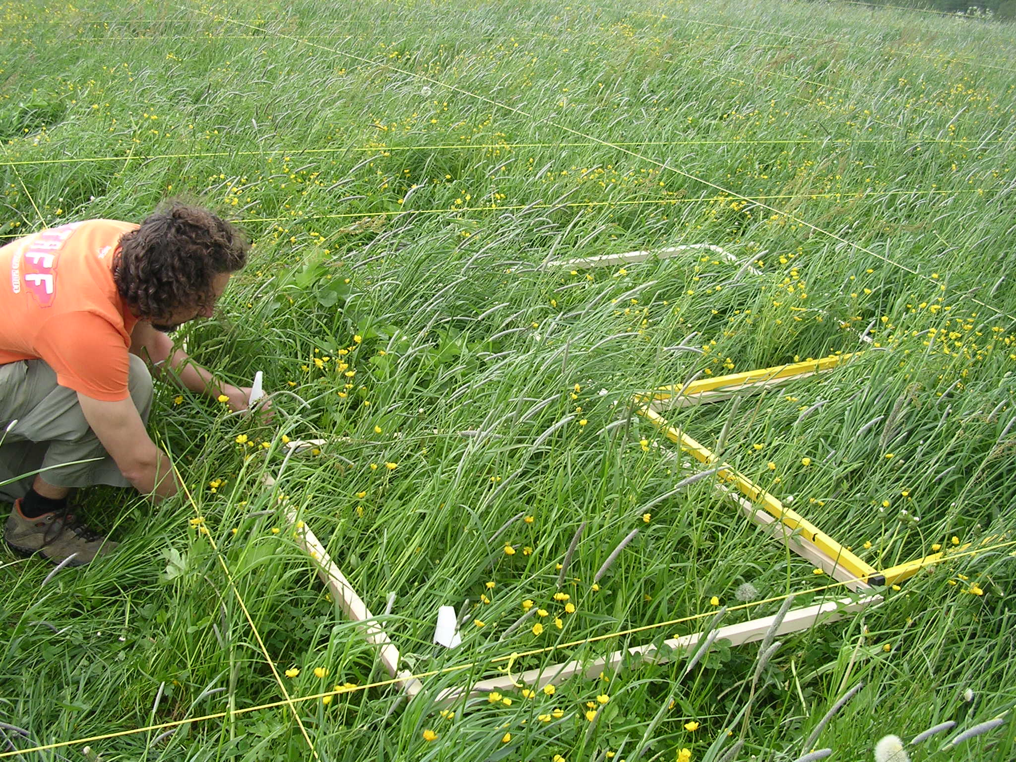 Plant diversity at local and landscape scales supports grassland functioning
