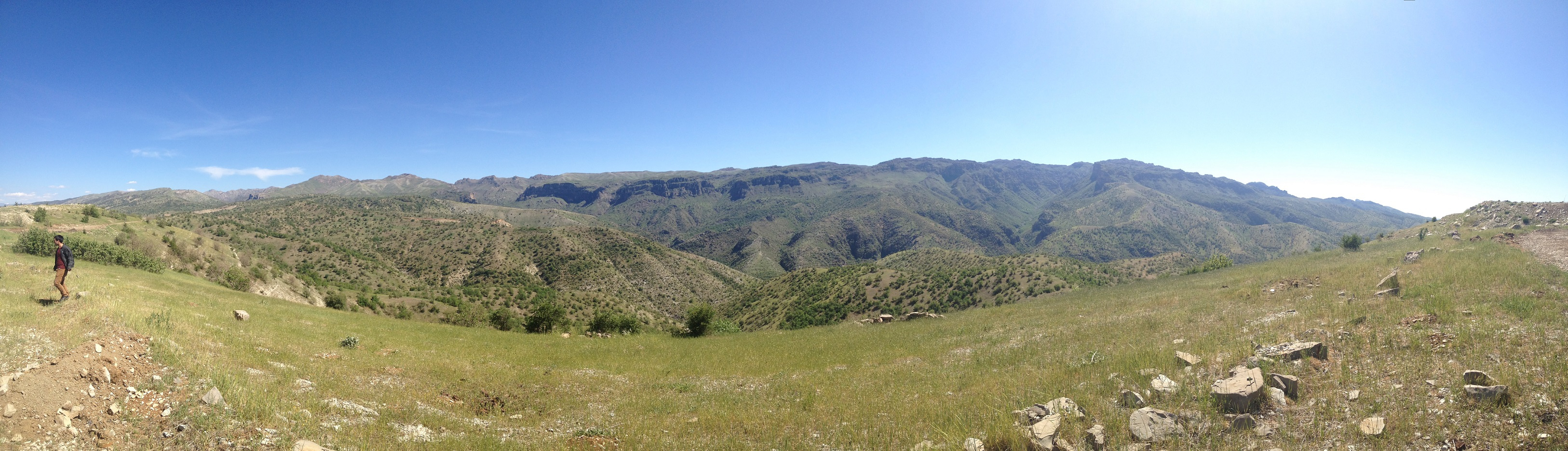 Behind the Scenes: The Hunt for Wild Chickpeas.