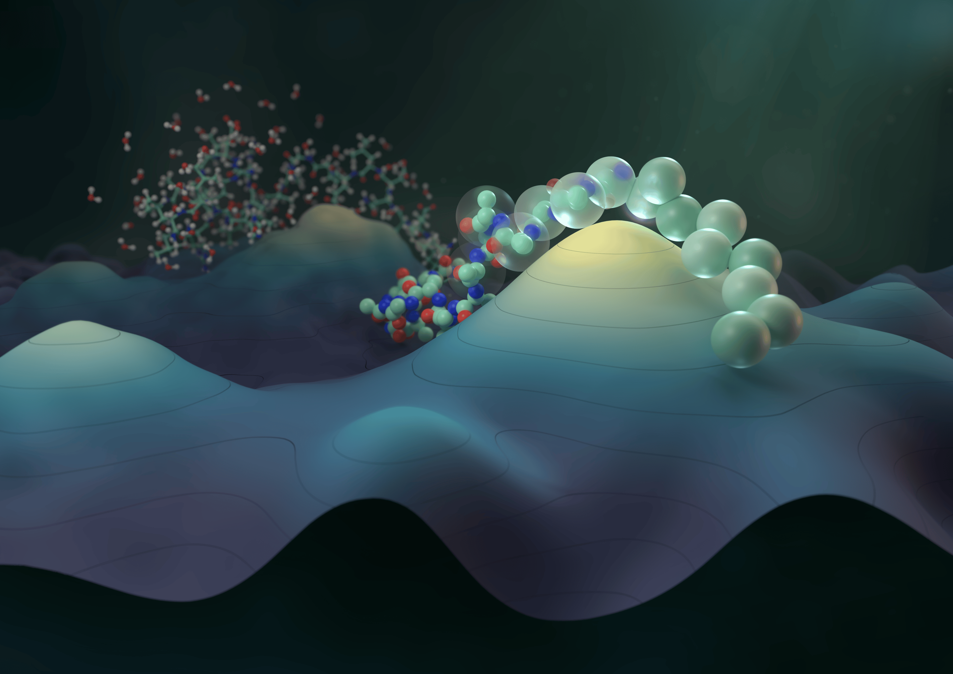 Navigating protein landscapes with a machine-learned transferable coarse-grained model