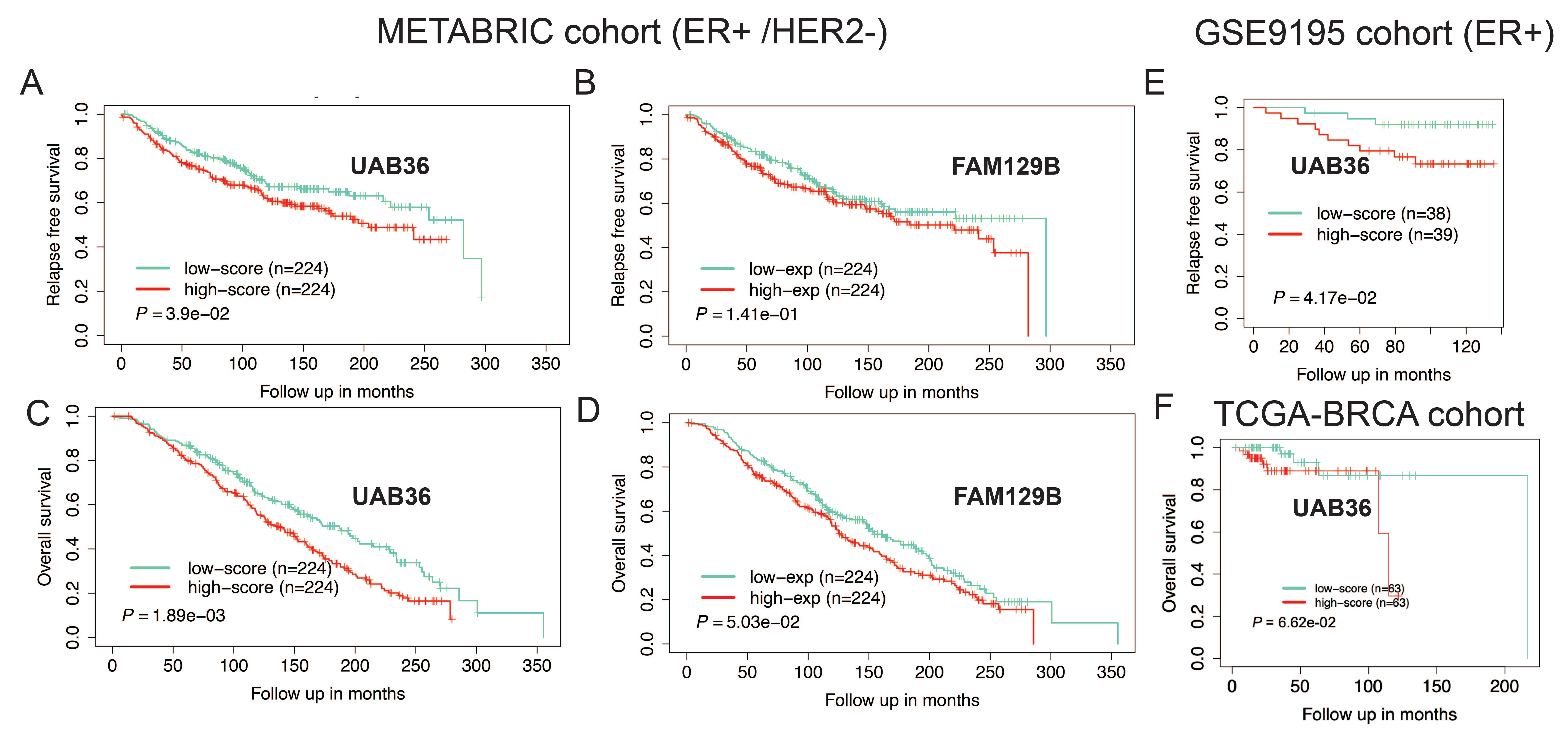 Development of a polygenic score predicting drug resistance and patient outcome in breast cancer
