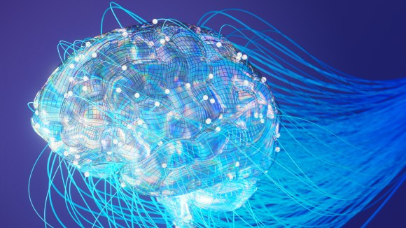 Collection on Biocomputing and Synthetic Intelligence