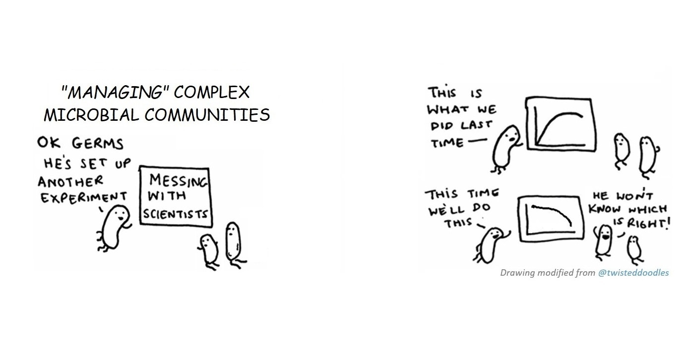 Same treatment but different outcome? Assembly of complex bacterial communities under disturbance