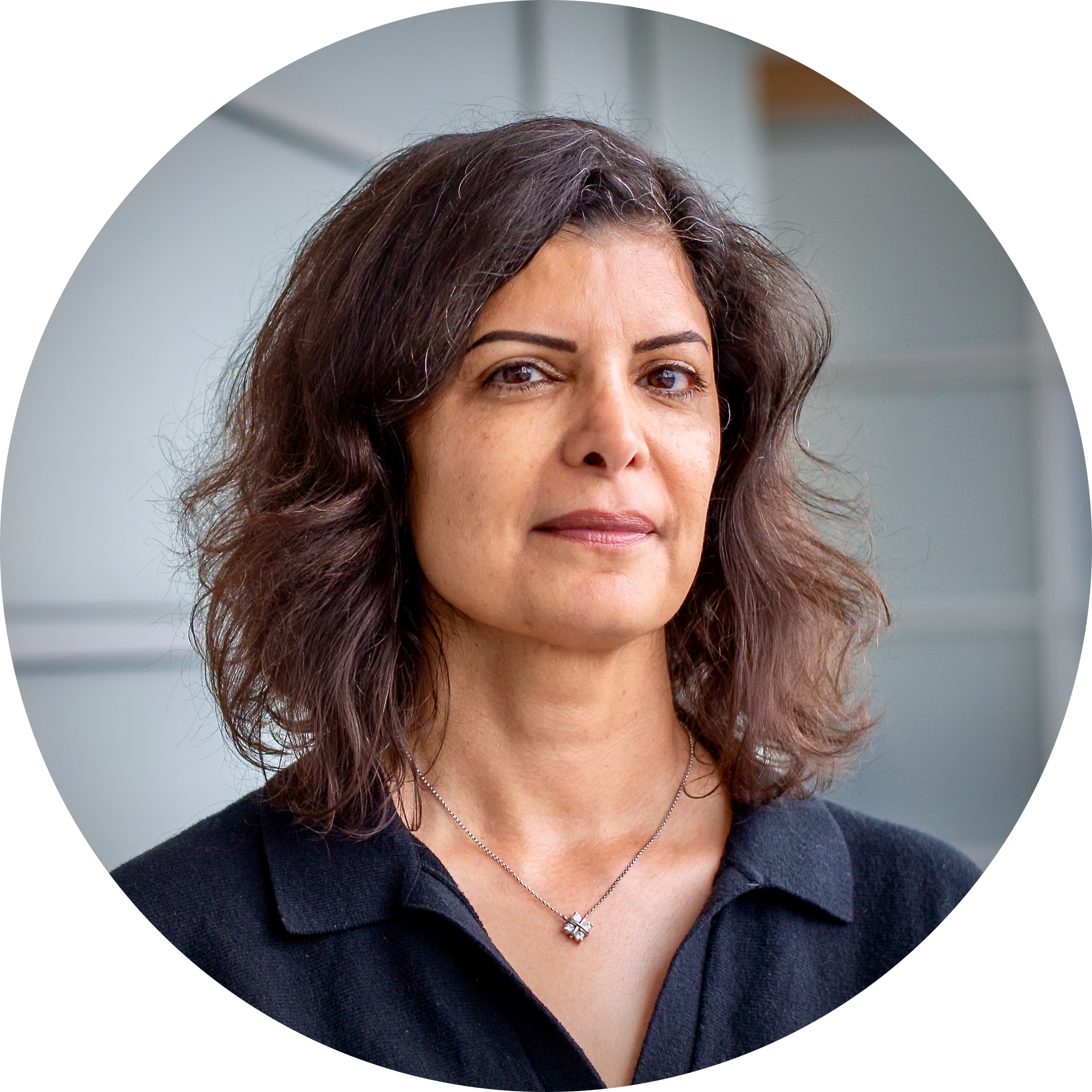 Go to the profile of Tina Eliassi-Rad