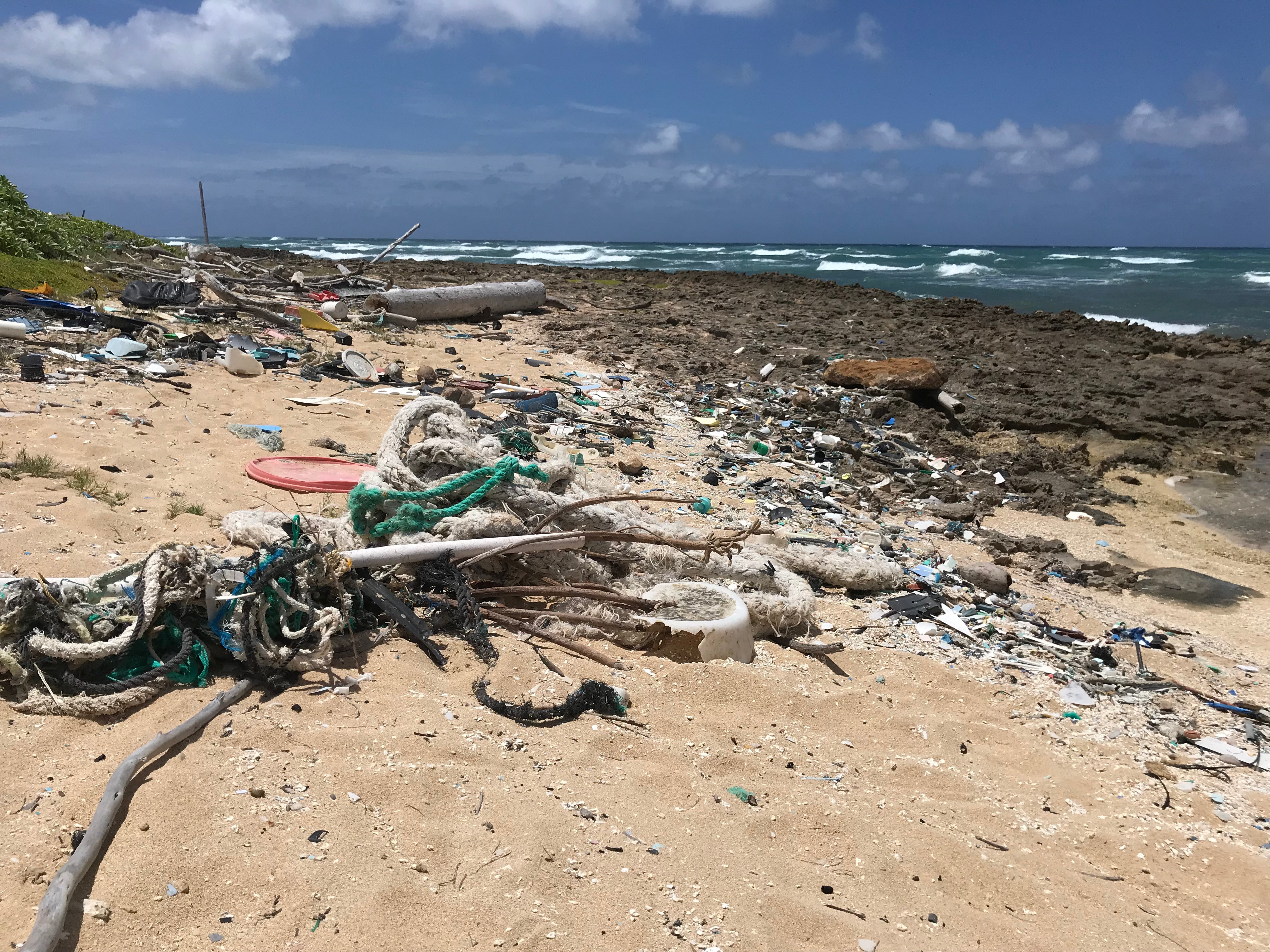 Fishing for marine debris