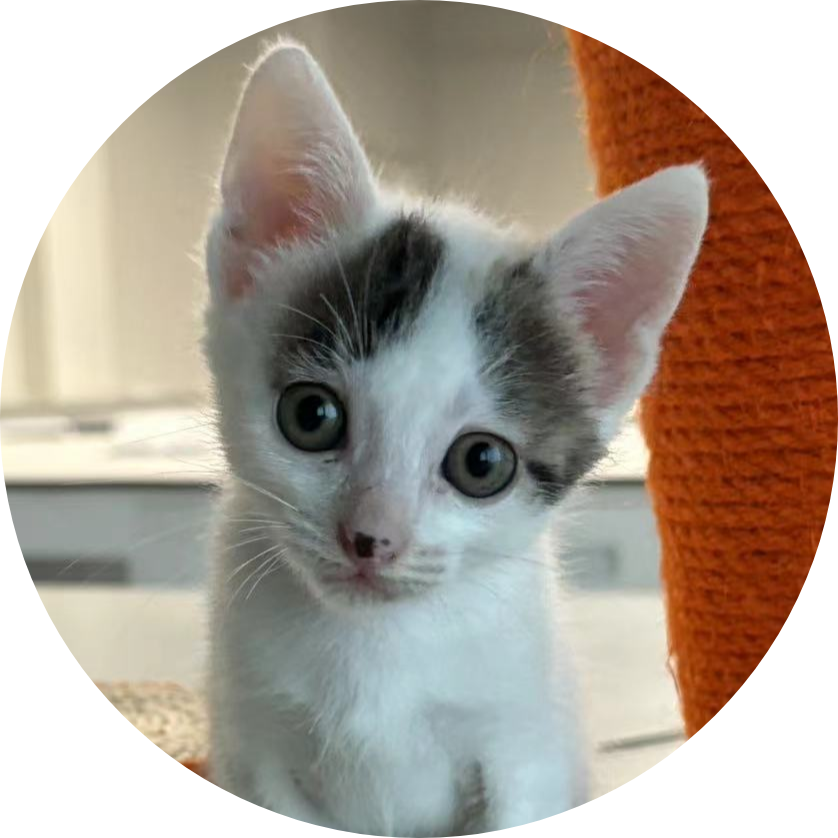 Go to the profile of Yao Zhang