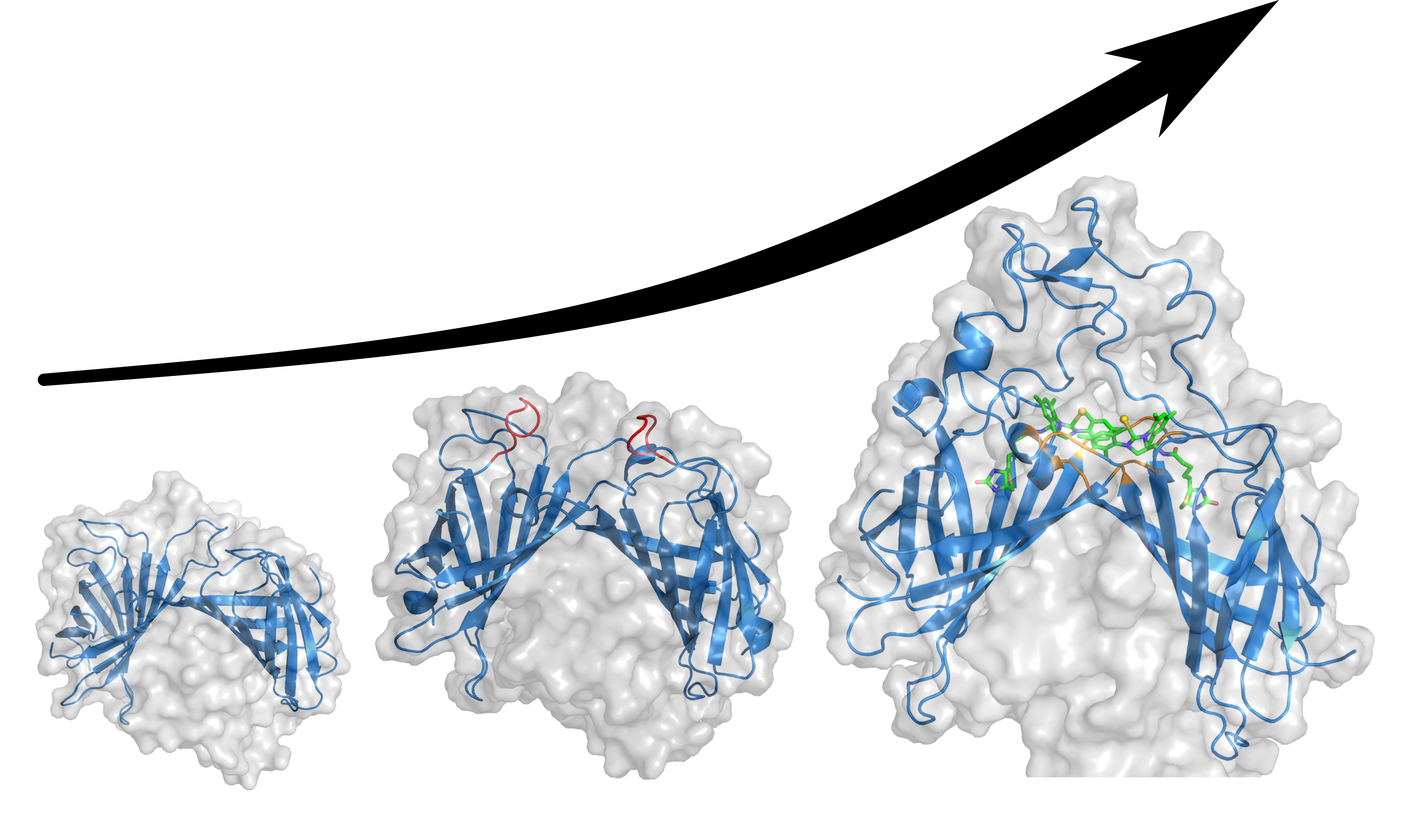 Dual Gold Catalysis with Enzymes?