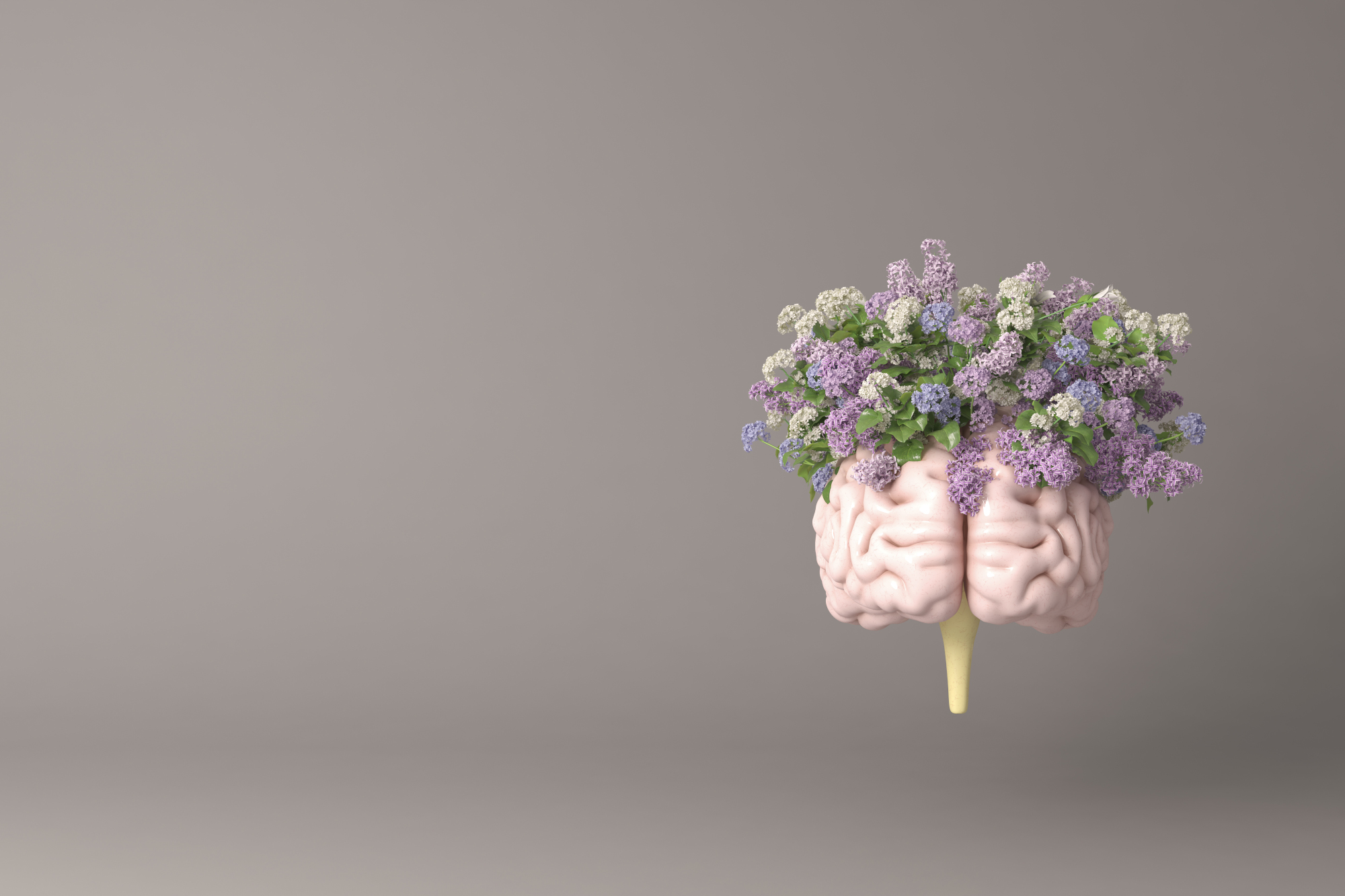 Call for papers: Neural Models of Consciousness 