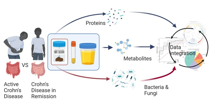 A Holistic and Molecular View of Crohn's Disease