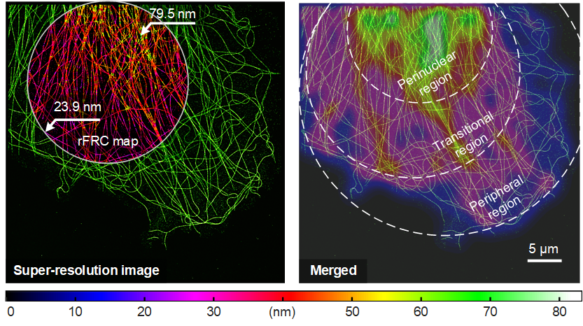 A nice piece of the puzzle for super-resolution microscopy