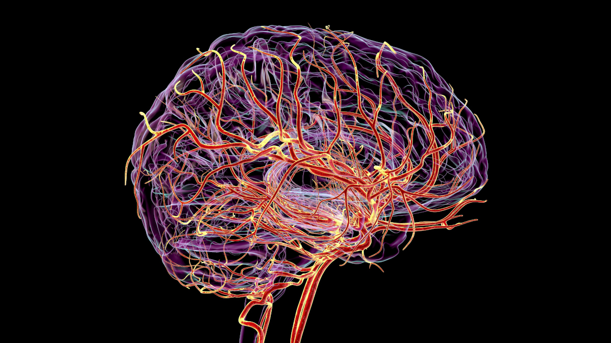 Call for papers: Cerebrovascular health