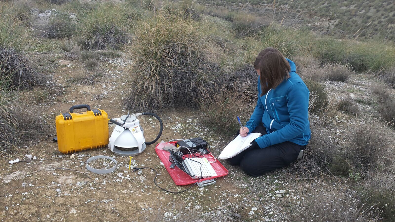 Go to the profile of Marina Dacal