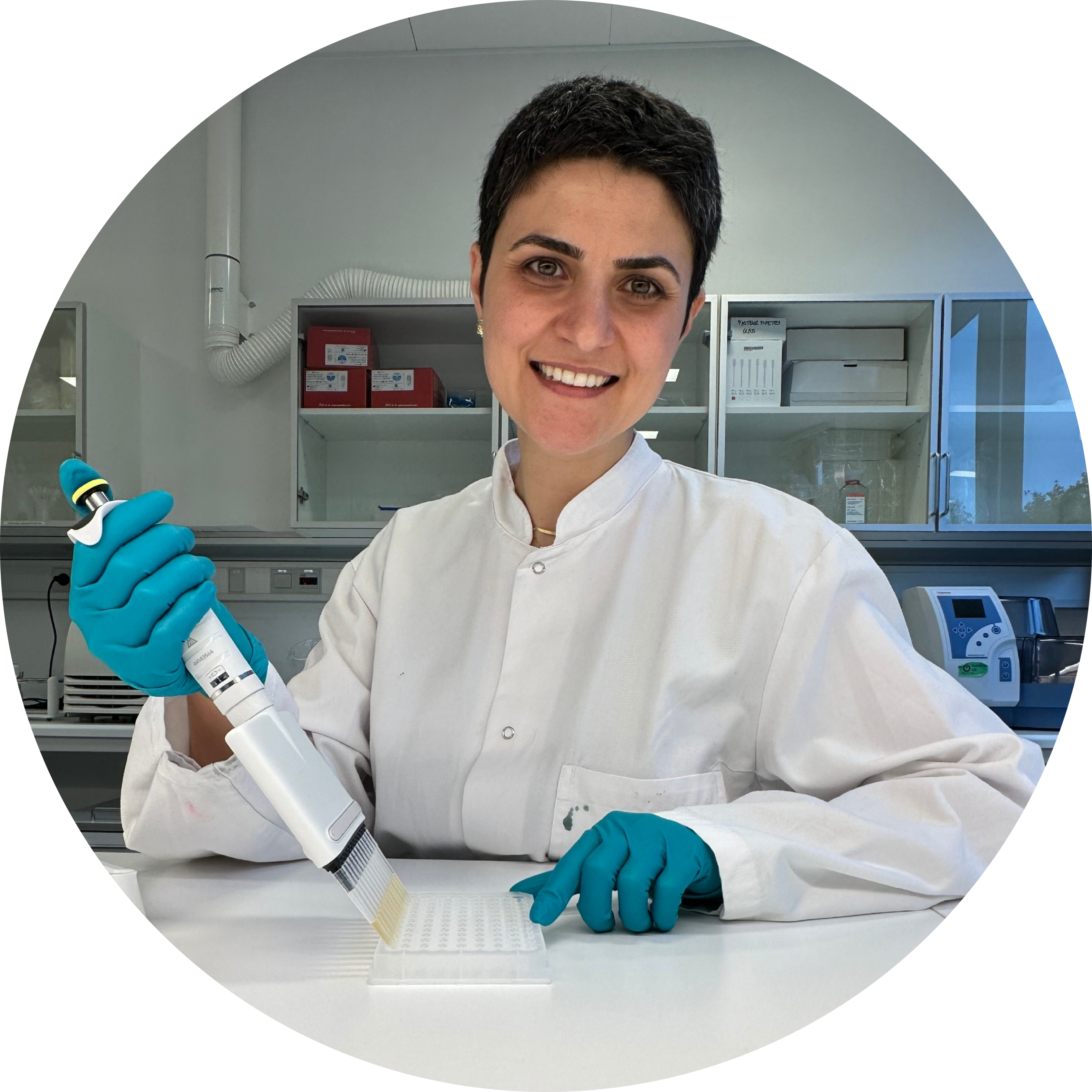 Go to the profile of Shirin Ahmadi