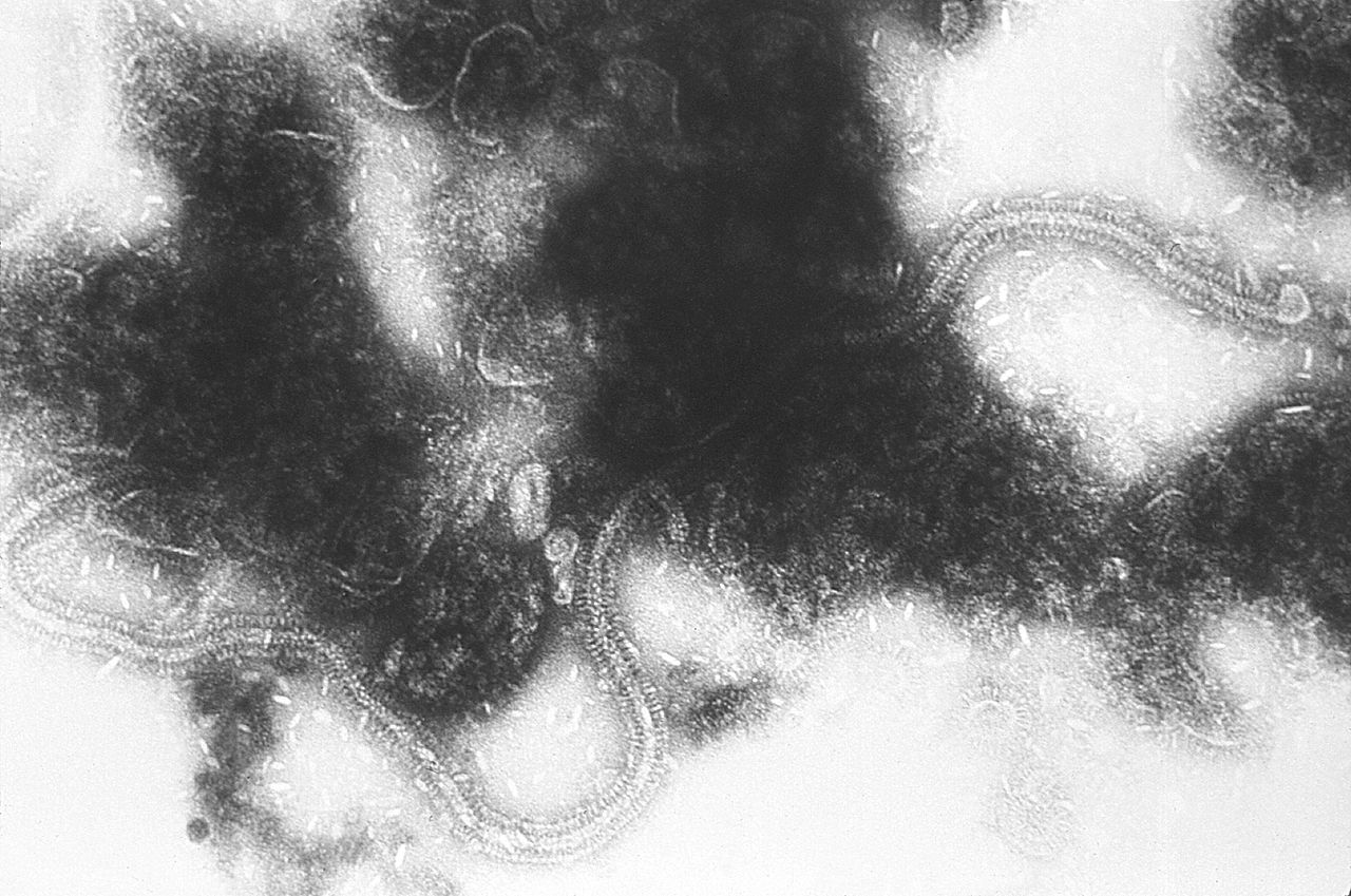 Improving antibodies by random mutation