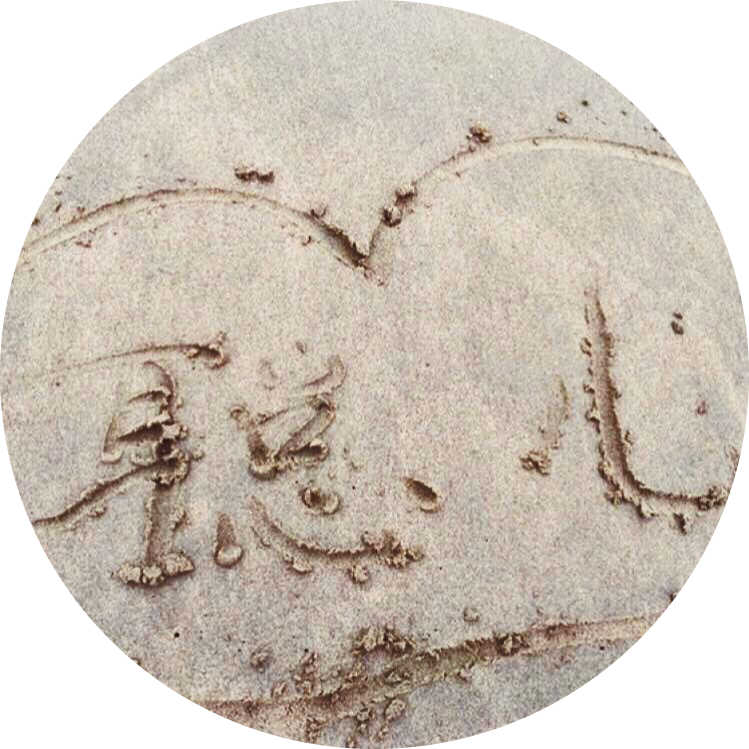 Go to the profile of Cong Lin