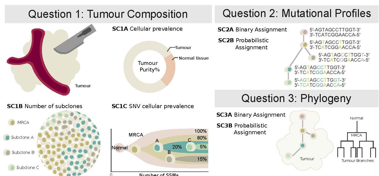 Benchmarking, Simulations and Tumour Evolution