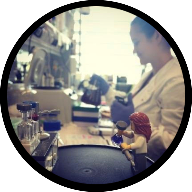 Go to the profile of Caitlin Stewart