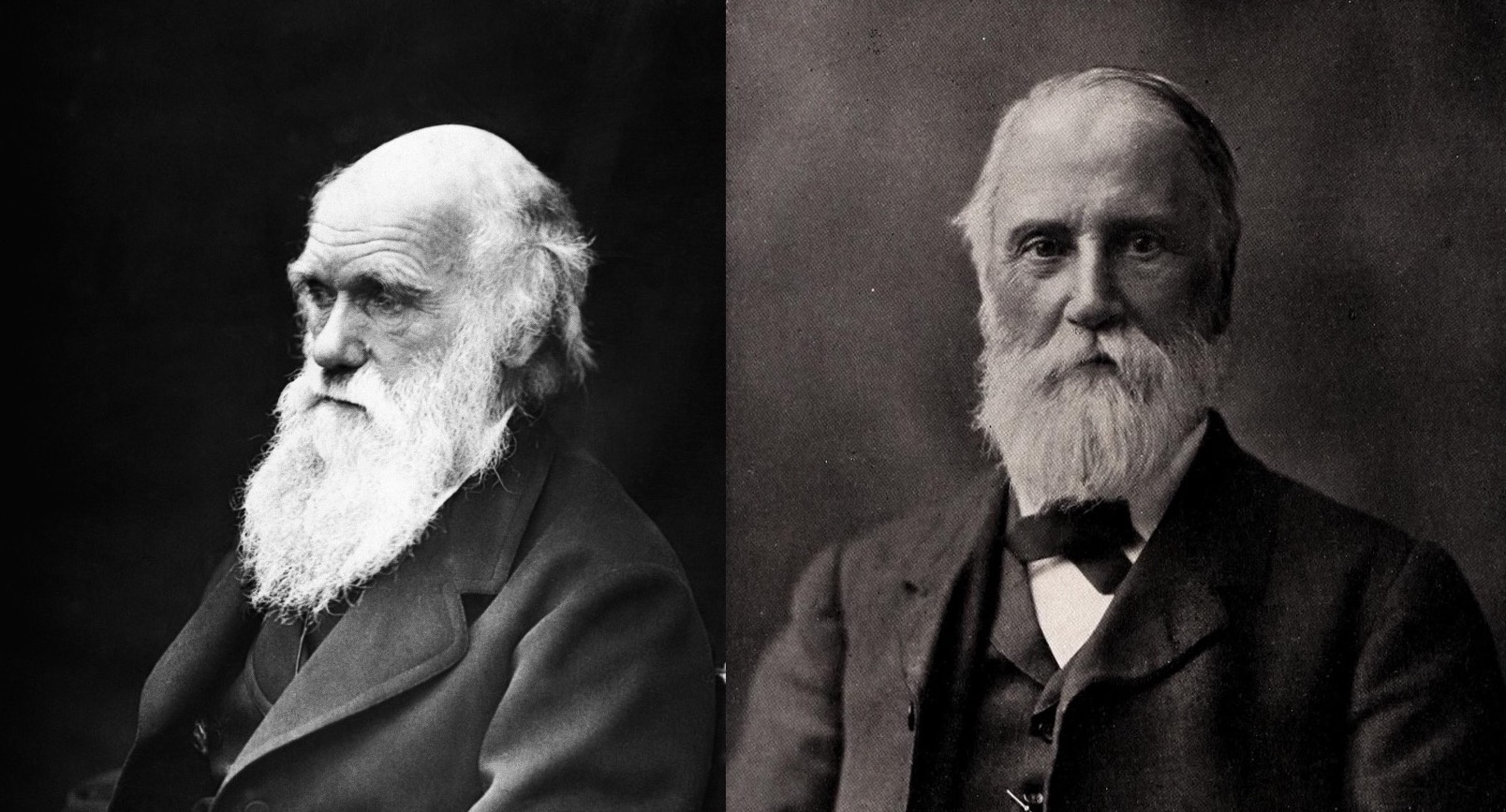 What was Darwin thinking? The origin of his 'abominable mystery'