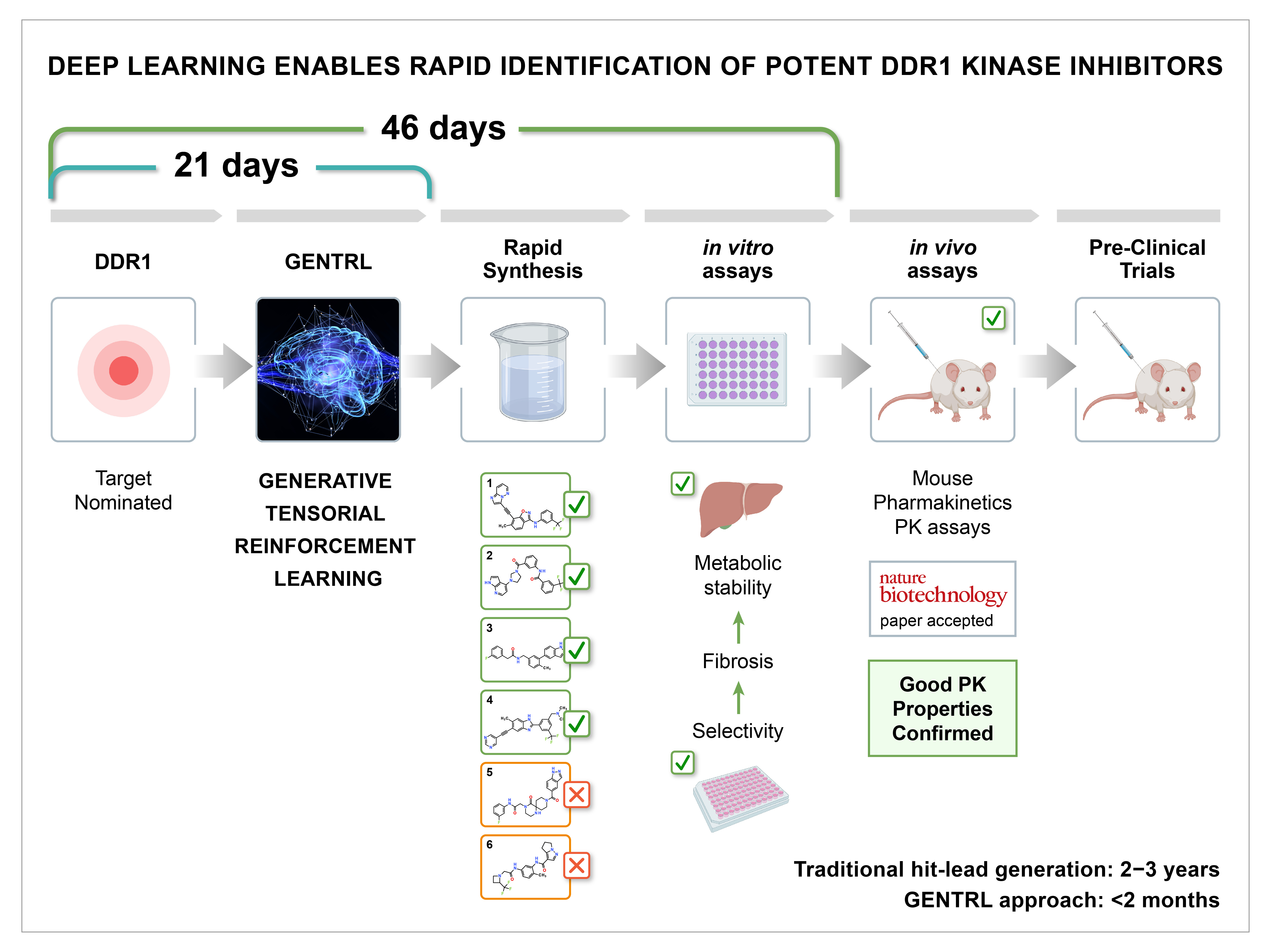 Molecules "imagined" using advanced artificial intelligence show promising results in pre-clinical experiments