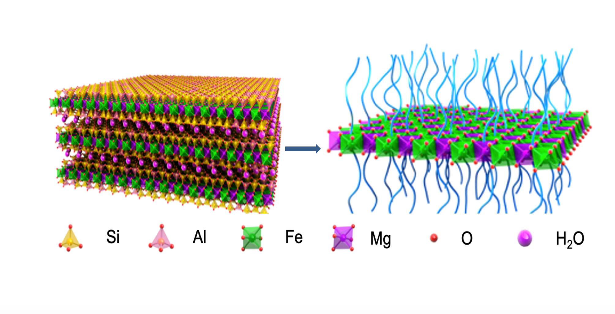 Hot Paper: Nature-Derived 2-Dimensional Materials for Cancer Therapy and Sustainable Solutions