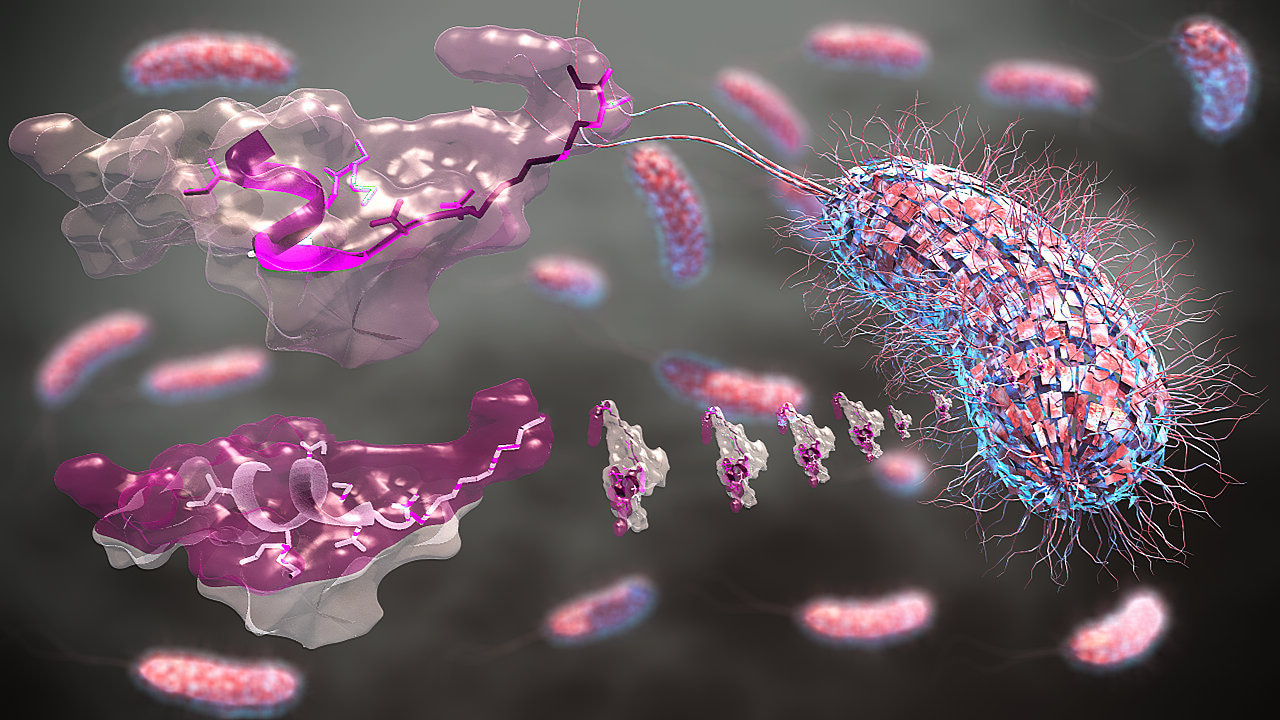 Structure-Function-Guided Exploration of the Antimicrobial Peptide Polybia-CP Identifies Activity Determinants and Generates Synthetic Therapeutic Candidates