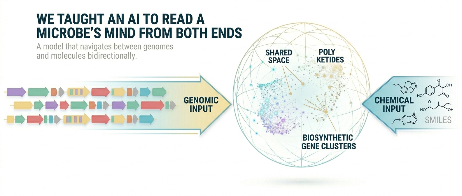 We Taught an AI to Bridge the Genomic and Chemical Worlds of Microbes