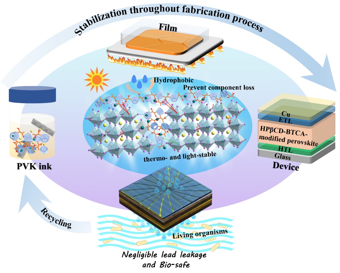 Reducing lead toxicity of perovskite solar cells with a built-in supramolecular complex