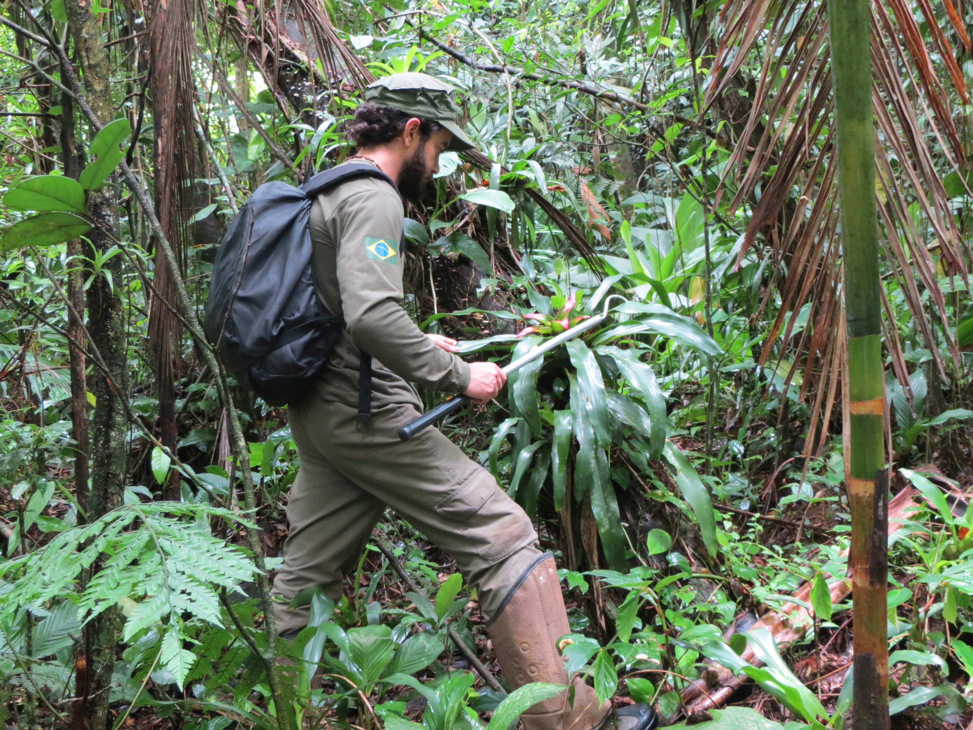 Go to the profile of Felipe Campos