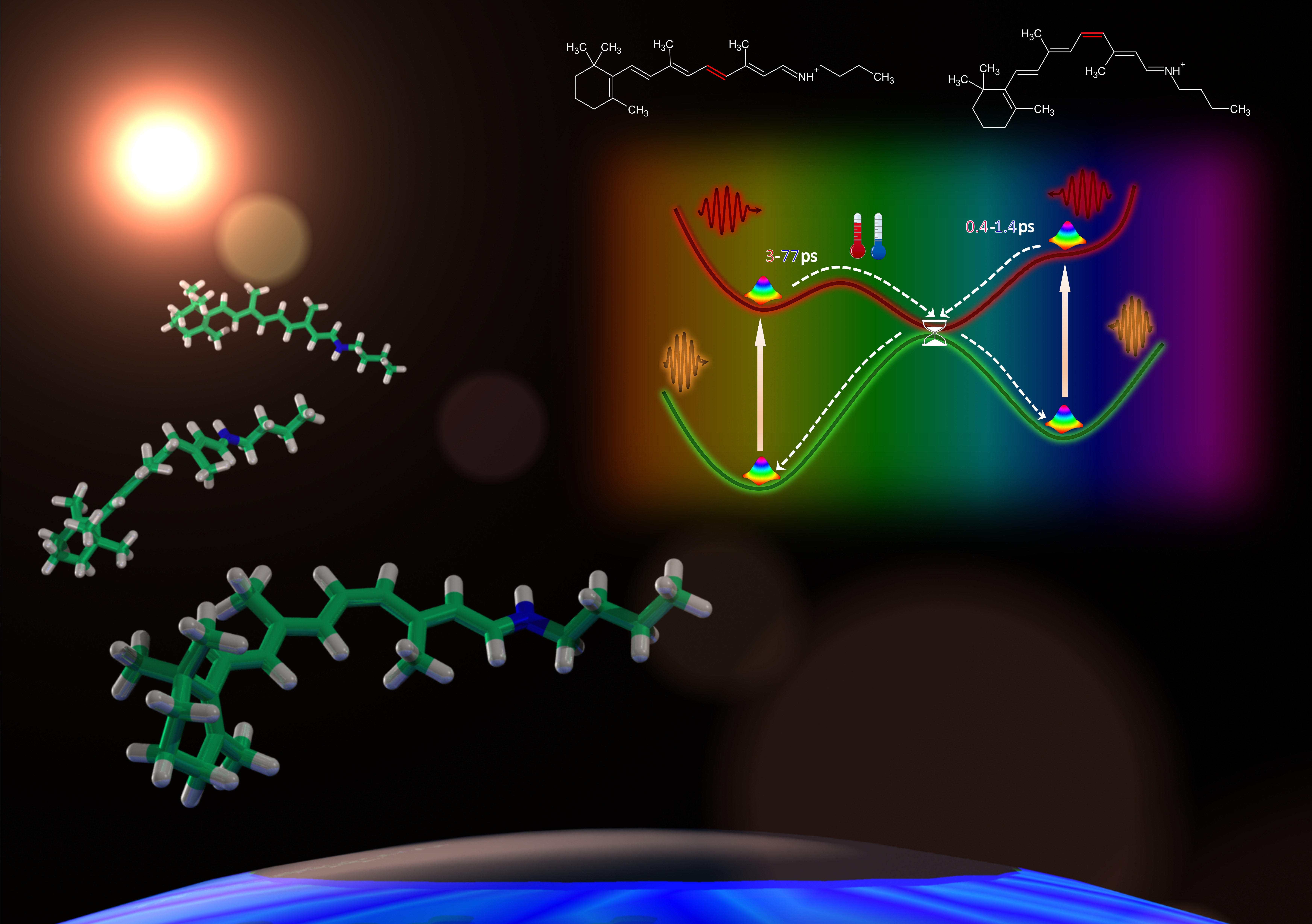 The bare retinal chromophore from visual photoreceptors shows an ultrafast photoisomerization dynamics