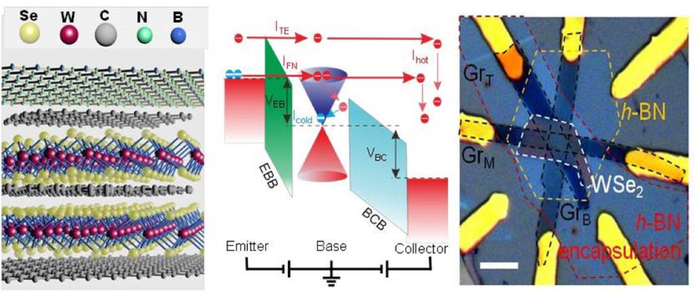 All-Two-Dimensional-Material Hot Electron Transistor