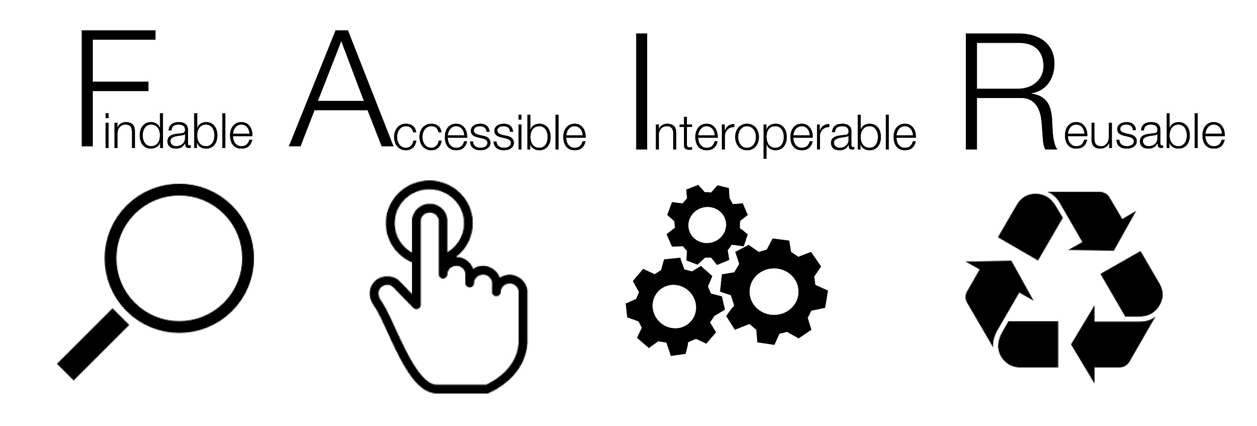 Introducing the FAIR Principles for research software