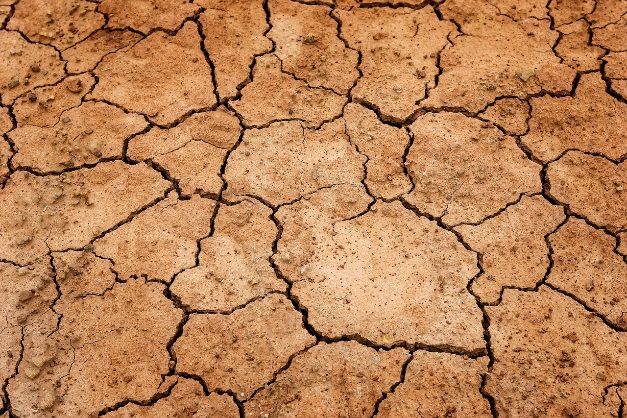 Lessons from a dry continent