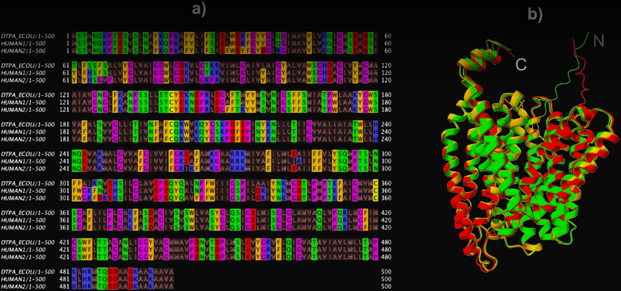 Directed Evolution Without the Flask: Moving Selection Into a Protein Language Model