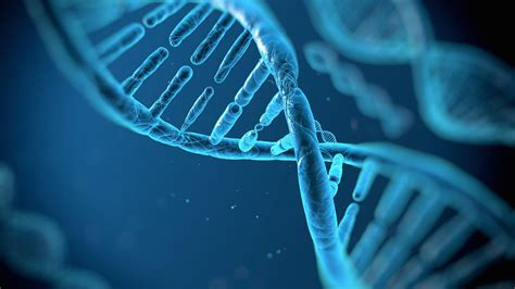 A New Era in Multiple Myeloma: How mmSYGNAL is Shaping the Future of Personalized Cancer Treatment