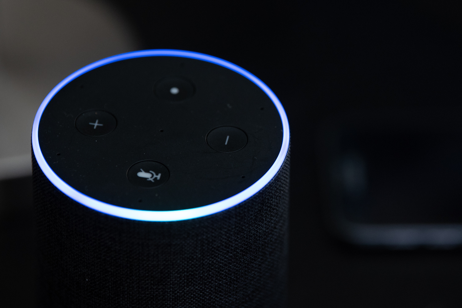 Alexa, do I have irregular heart rhythm?  Using smart speakers to contactlessly monitor heart rhythms 