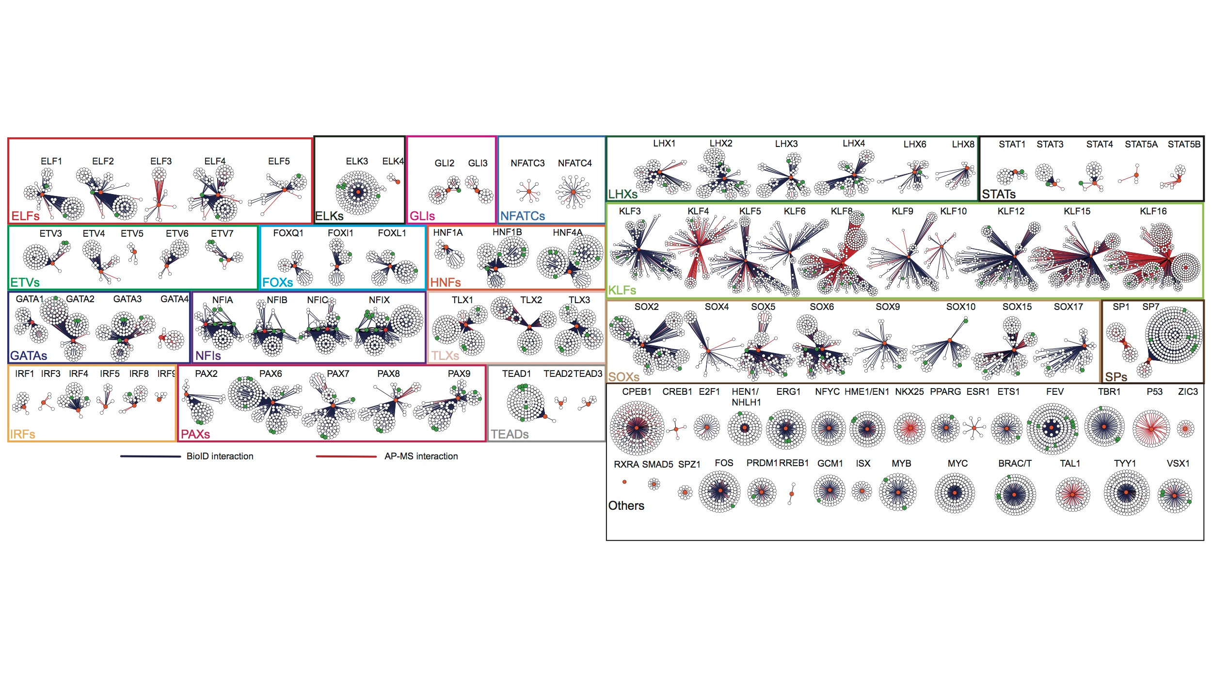 Know Thy Friends, know ThyselF – Transcription Factor (TF) regulation resolved